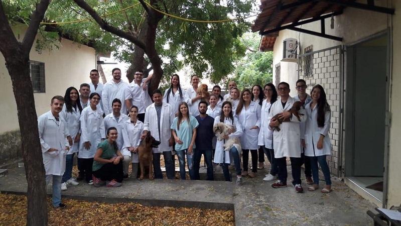 PPGCV conclui 1º curso de Reprodução em Cães e Gatos