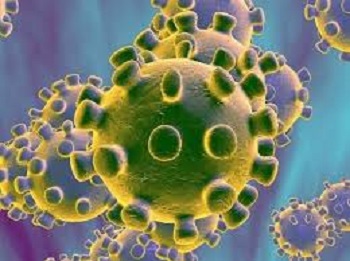 Atividades do PPGCV durante a pandemia do coronavirus COVID-19