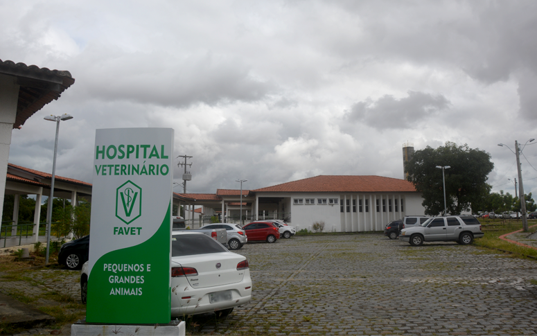 Hospital Veterinário da Uece suspende atividades temporariamente