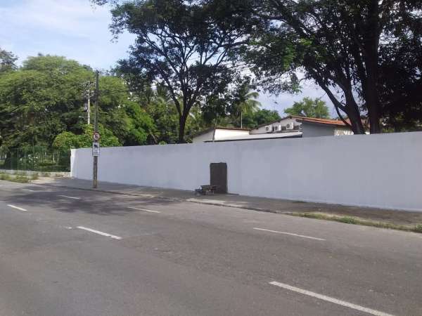 A imagem mostra um grande muro de cor branca, com árvores por trás e asfalto na frente, em dia claro de sol.