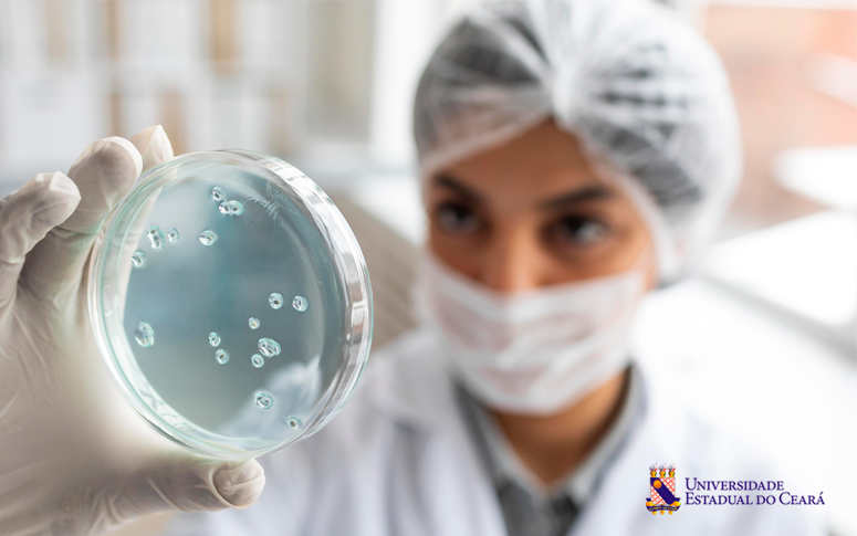 Uece lança edital para Mestrado e Doutorado de Biotecnologia em Saúde Humana e Animal