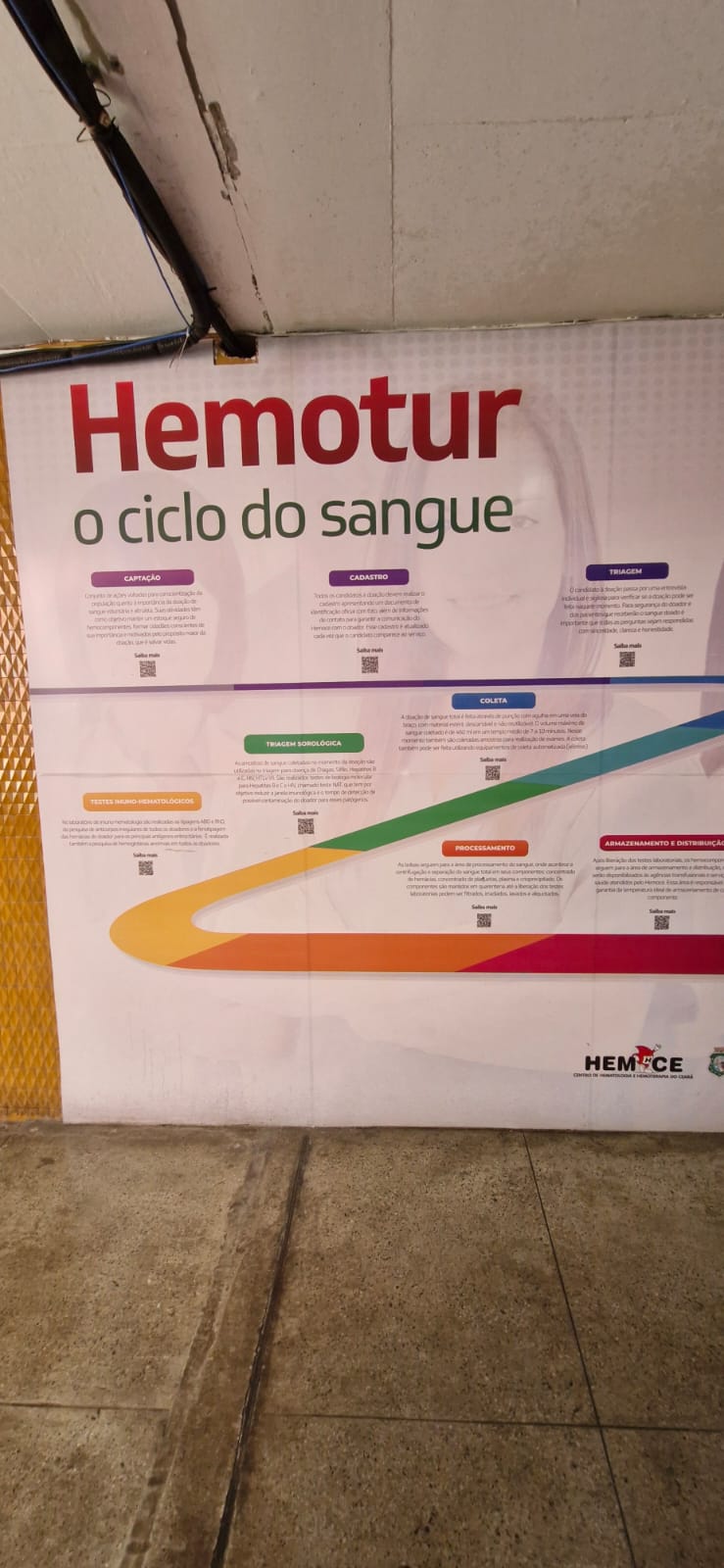 Visita Técnica ao Hemoce – CCS