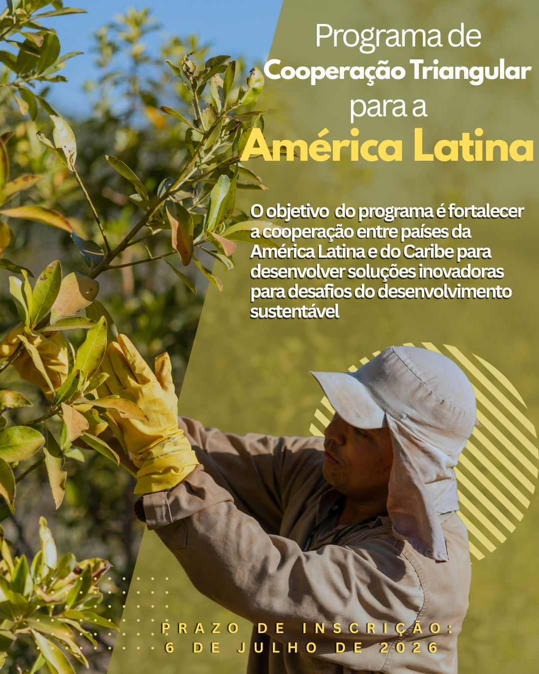 Programa de Cooperação Triangular para a América Latina