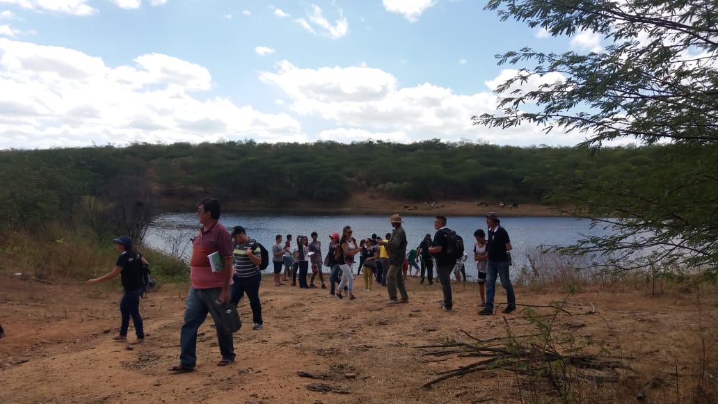Conhecendo o Acampamento besouro alt