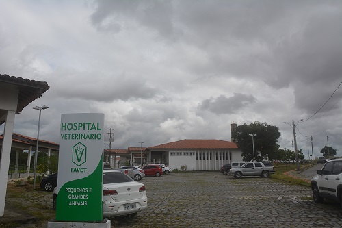 Hospital Veterinário da Uece informa sobre funcionamento durante festa de final de ano.
