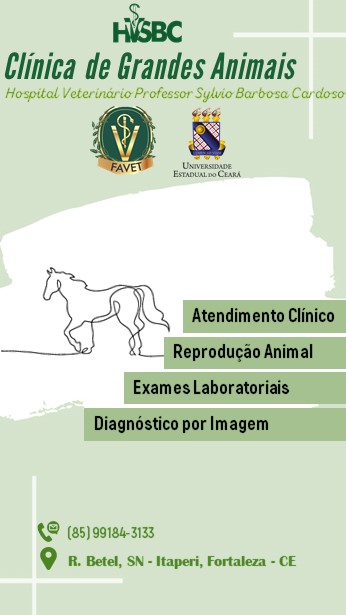 Setor de Grandes Animais do Hospital Veterinário Professor Sylvio Barbosa Cardoso da FAVET/UECE
