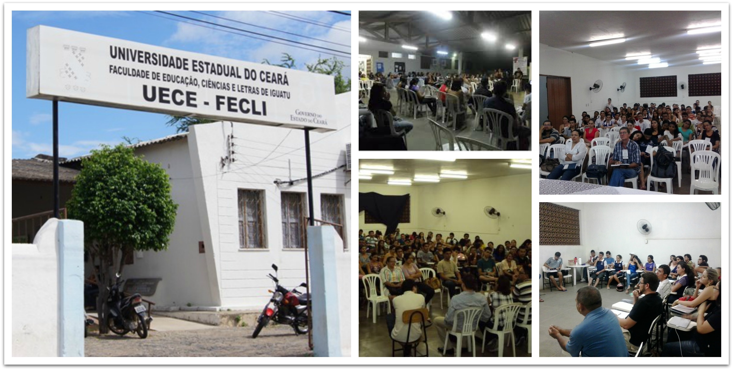 FECLI