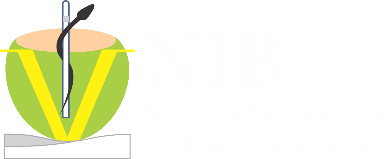 Logo NIB_white