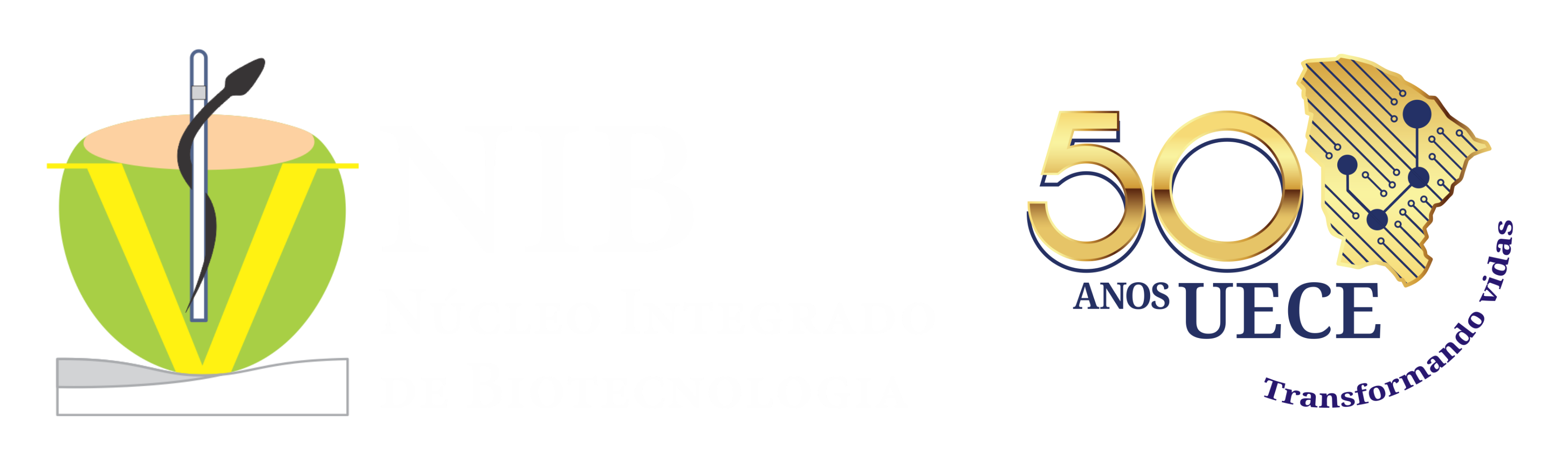 NIB