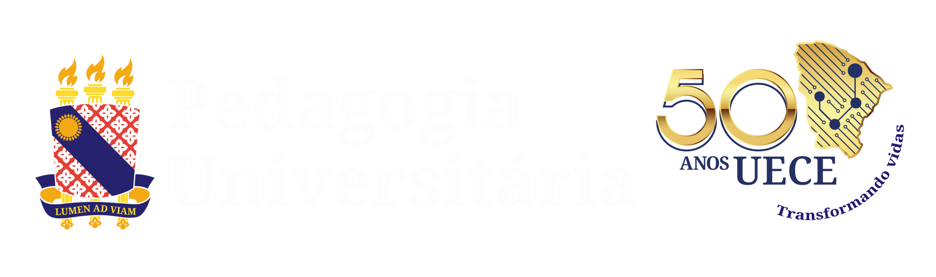 PEDAGOGIA UNIVERSITÁRIA