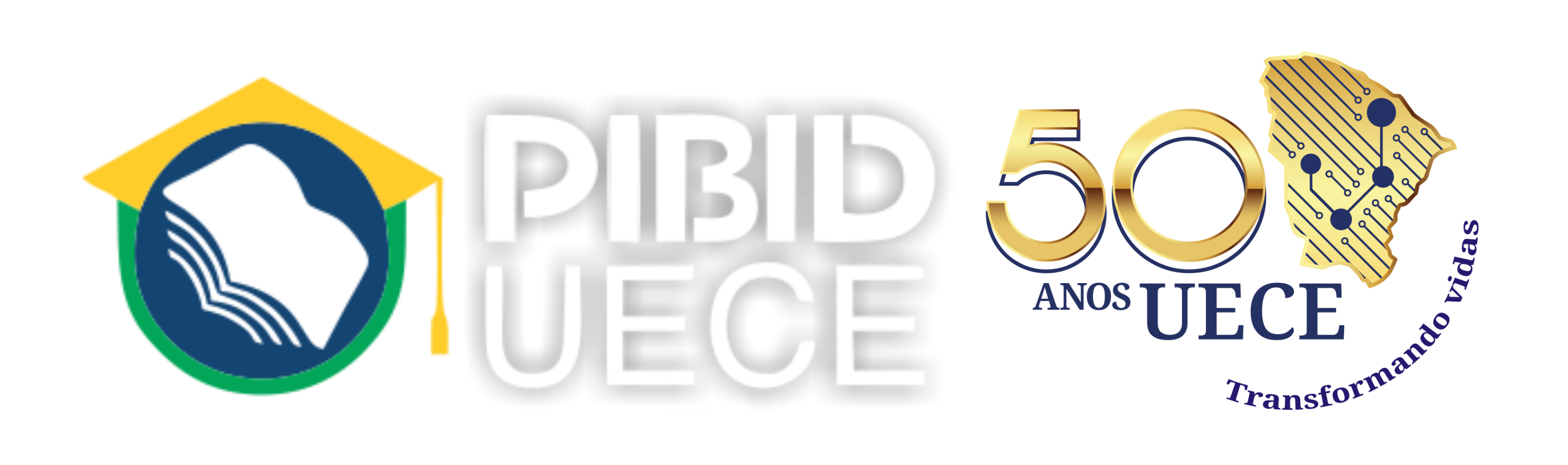 PIBID