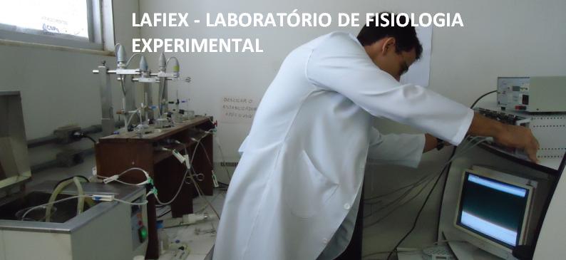 lafiex2