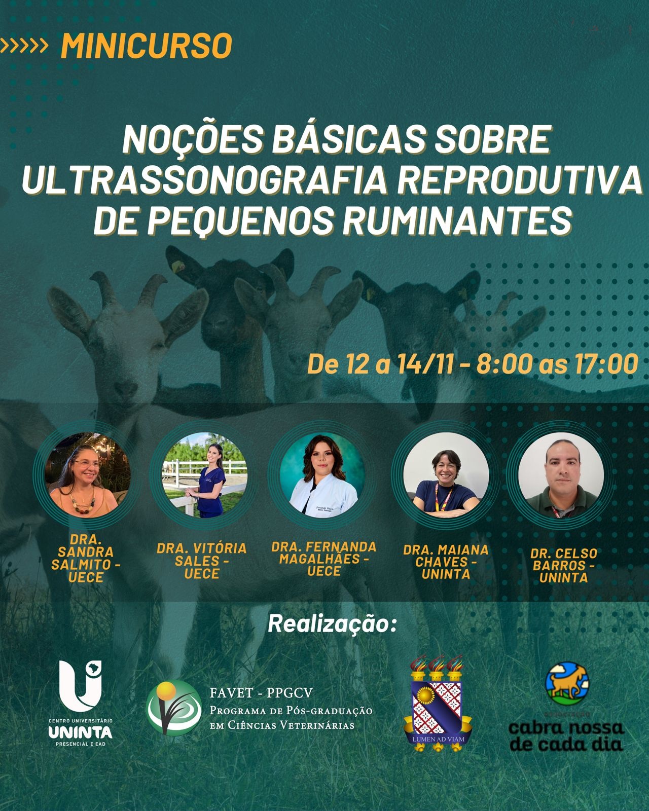 Curso – Noções Básicas Sobre Ultrassonografia Reprodutiva de Pequenos Ruminantes