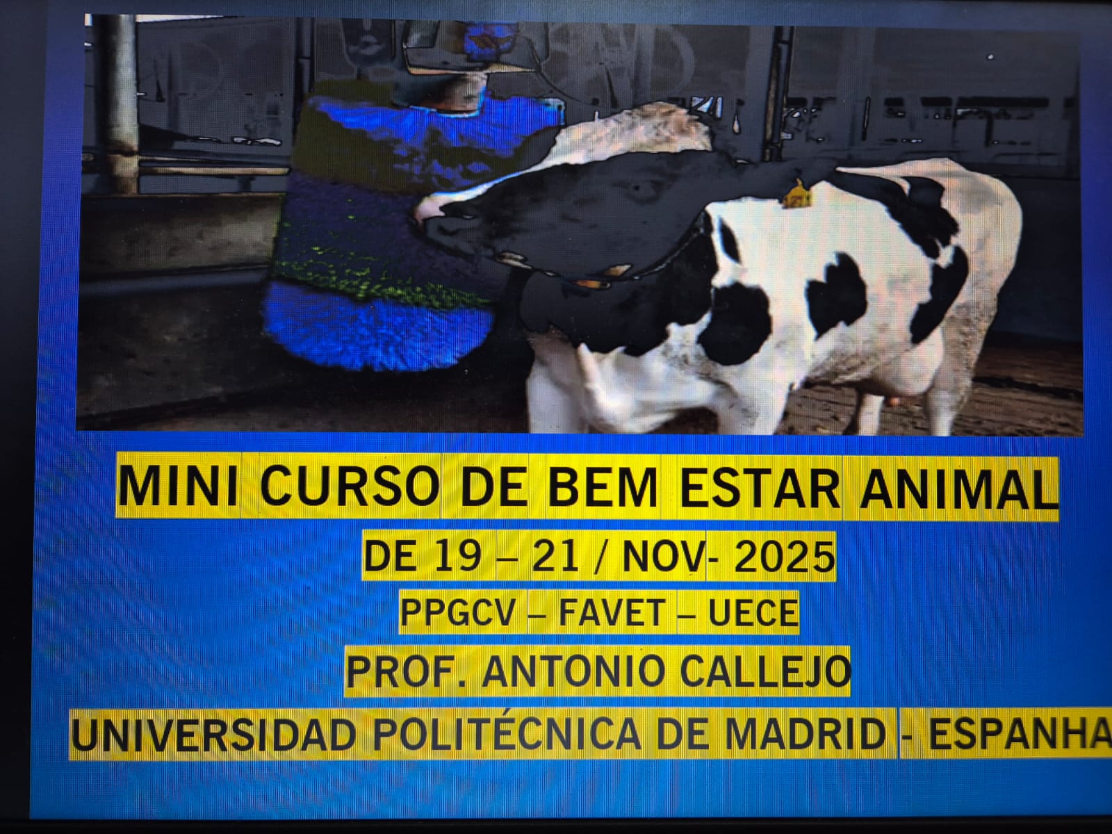 Mini Curso de Bem Estar Animal