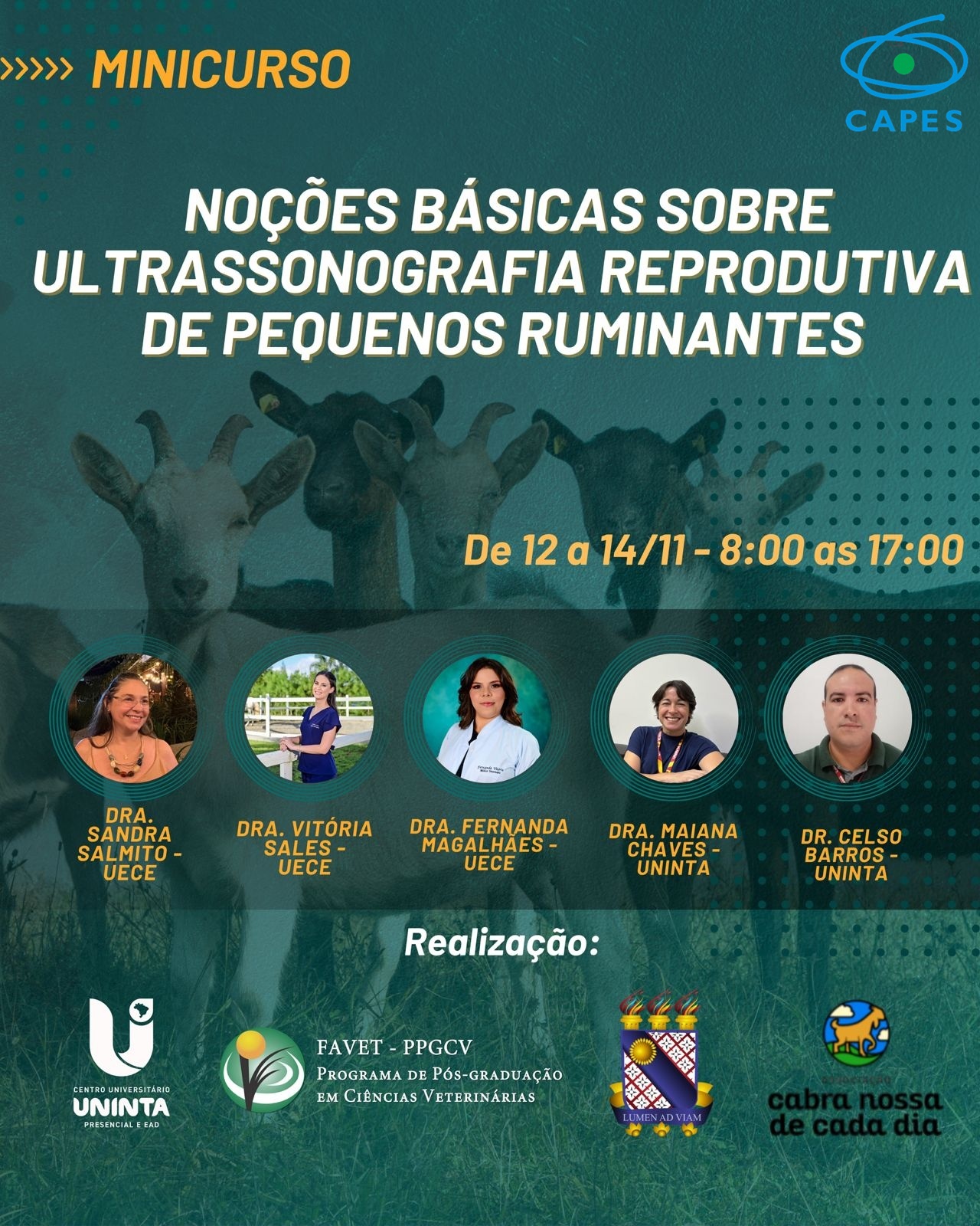 Curso – Noções Básicas Sobre Ultrassonografia Reprodutiva de Pequenos Ruminantes