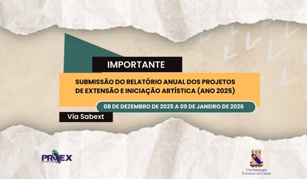 Relatório Anual dos Projetos de Extensão e Iniciação Artística