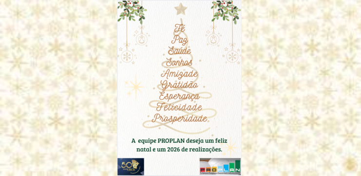 BOAS FESTAS E FELIZ ANO NOVO!