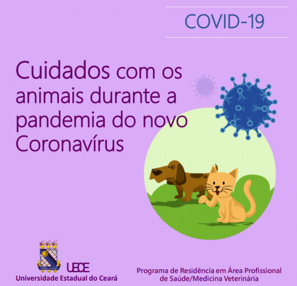 Coronavírus e pets: veja perguntas e respostas sobre cuidados com animais  de estimação, Coronavírus