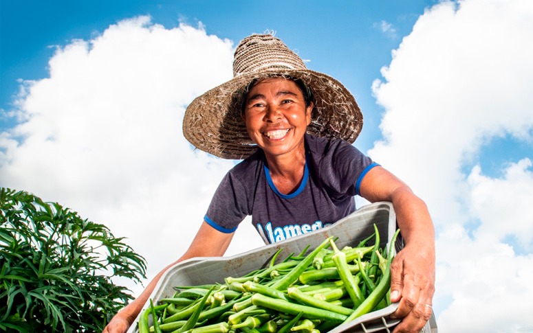 Incentivo à agricultura familiar: Uece prorroga editais de aquisição de alimentos para RUs
