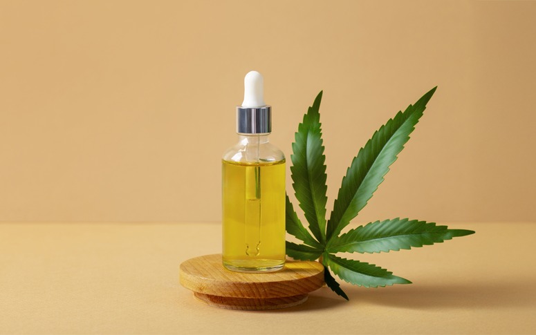 Uece coordena no Ceará pesquisa que avaliará o uso de cannabis em crianças com TEA